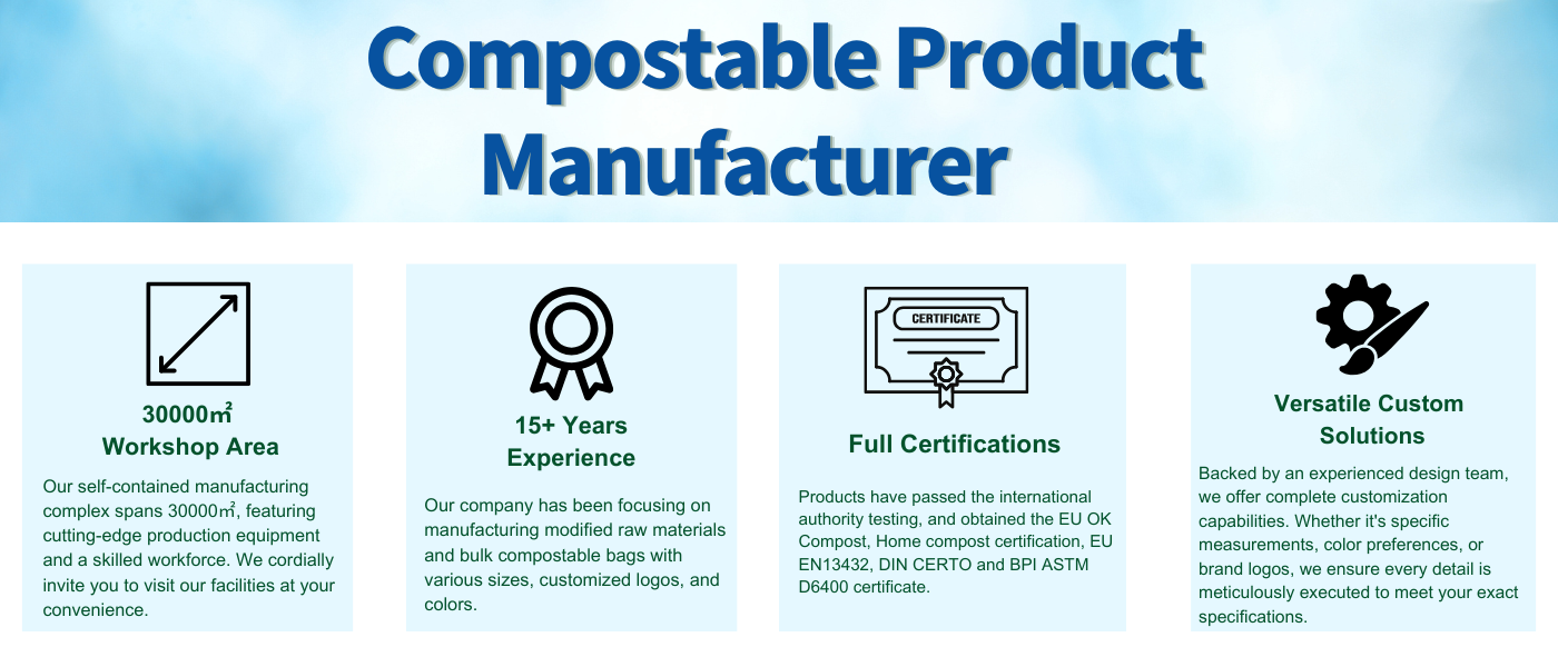 Company detail