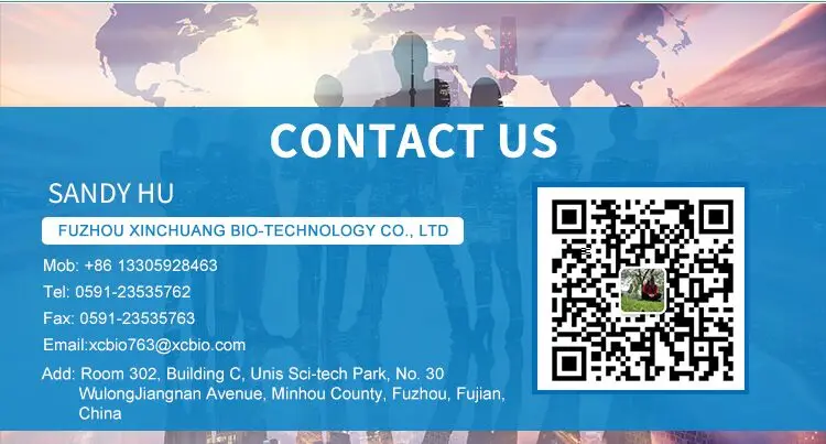 PLA Plastic Bags Disposable T-shirt  Biodegradable Garbage Bags